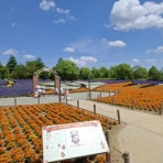 東武動物公園の花と自然（公式ブログ）
