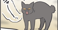 とにかくビビりなアヤちゃん