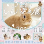 SNOWDROP.n&kのサクサク日記