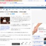 ニューヨークが犬猫など販売禁止！！新法が成立し24年に施行