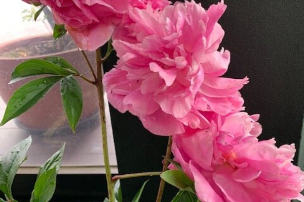 Singer 斉藤絵美のofficial Blog シンガー斉藤絵美