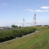 『グラウンド横の土手にキジがいました！』の画像