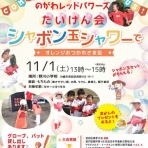 野川レッドパワーズの日常