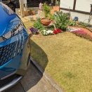 【車】🫎→🦁