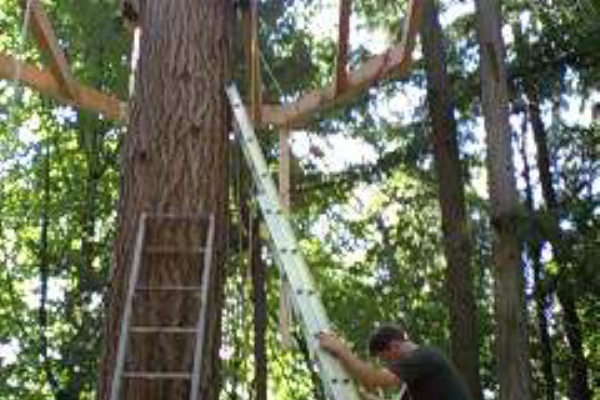 コバさんのtreehouseと自由な日々 08年06月