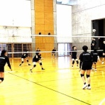 シーガル・バレーボールスクールのblog