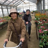 『ドライブ🌷花木センター🌷』の画像