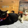 チャンスは一度きり。そんな事もある