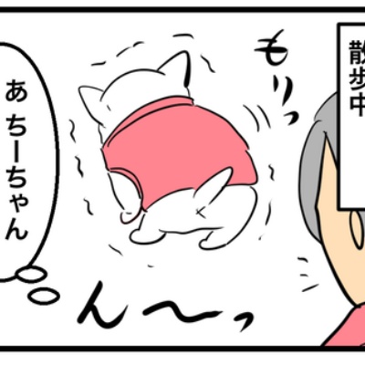 ちーちゃんっ🐾