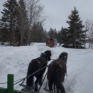 February 1, 2026: Winter Fest