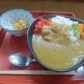 新潟市中央区白山付近の渋い食堂！とこしえ食堂でカレーライス！(とこしえ食堂2回目)