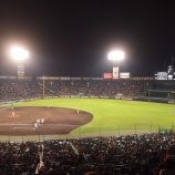 『阪神はみっともないシーズンを終えた|2015NPB』の画像