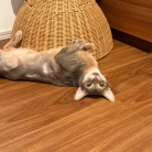 プチいざこざ兄弟