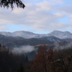 松之山温泉山の森のホテル　ふくずみ
