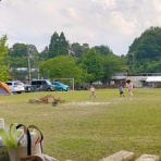 ときどきひびき農園日記