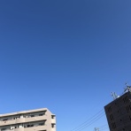 しなやかに歌って