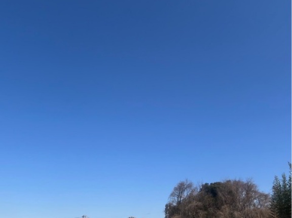 今日も皆さん有り難うございます🐶🐶💓😸😸