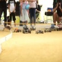 『もののけ姫』の祟り神を完全再現したラジコン動画がすｇ･･･うわああああ来るなああああああ