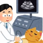 「動物病院に家族全員でくるのやめてほしい」とある投稿が話題に
