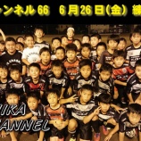 『シカチャンネル66』の画像