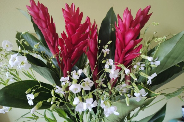 南米ペルーでガイドしています 花