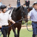 今週の出走愛馬 レインボーステート 京都 3歳未勝利戦 2026/1/24