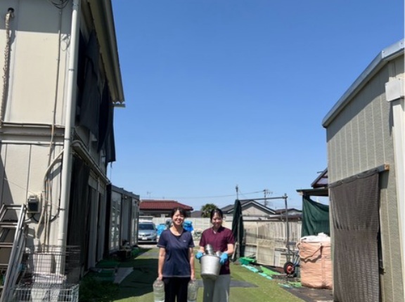 楽しいシェルター通信、ボランティア募集中❤️