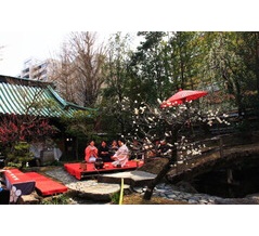 湯島天神梅まつり-2