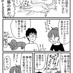 好きじゃなかった猫と向き合う話②