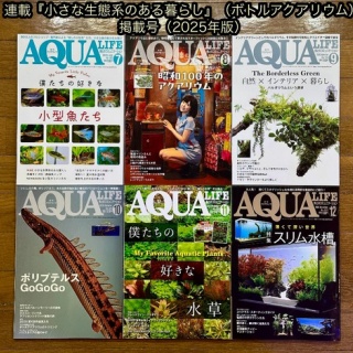 SONOアクアプランツファーム水草･海藻情報局