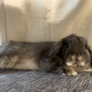 仕方ないと思えてしまう