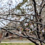 自然体で行こうじゃないか！