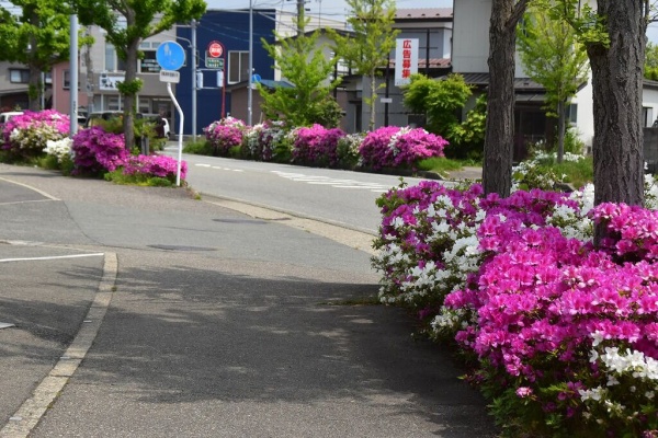 僕の歩く町3