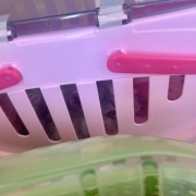 映画「ほどなく、お別れです」（舞台挨拶生中継）を観てきました