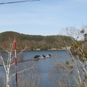 2025.05 ��� ζ��ƶ1 �����Ȥα���