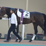 酒と競馬と写真～ドライアイス～