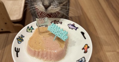 ぱずたん、15歳になりました。