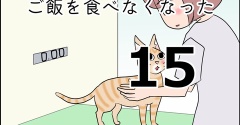 まるがご飯を食べなくなった15