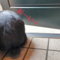 〜末永く・仲良く〜