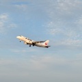 飛行機を見に行く