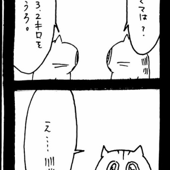 赤ちゃん自認ねこ5