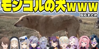 【にじさんじ】SNSで大バズリした『モンゴルの犬』が気になるライバーたちｗ