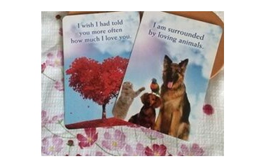 『カード。過ぐ世現つ世紡ぐ糸MM515』の画像