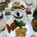 翼を広げたカワセミ　～目玉焼きの朝ご飯、パンガシウスのバター醬油焼きの晩ご飯～