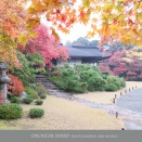 秋の風景　大河内山荘　「隠れた紅葉スポット・・・だったのだが　♪」