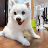 『【ふうかちゃん①】亡くなって、2か月が経ちました』の画像