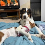 自転車屋@スパイキー！