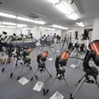 『セレストロン展示機セール　2019/11/22』の画像