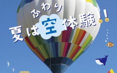 ��2026��🌻Ǯ���巸α�θ������������٤β���