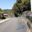 イノシシの足先